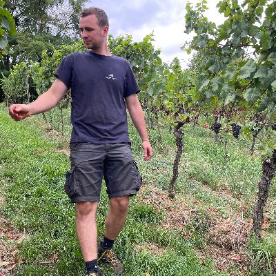 VDP. Weingut Bernhart (Germany, Pfalz) - Cool Climate Wine Summit Exhibitor Interviews
