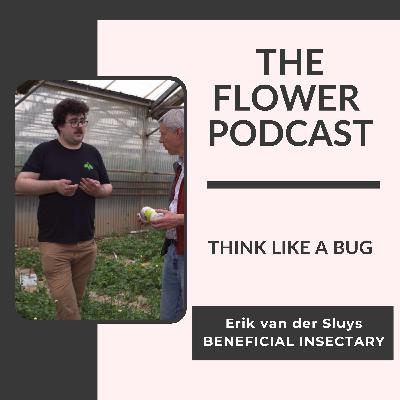 Using Beneficial Insects in Cut Flower Production with Erik van der Sluys