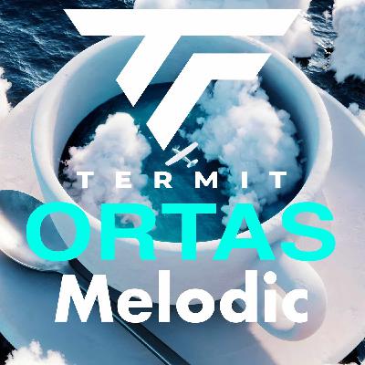 Dj Termit - Ortas (Melodic mix)