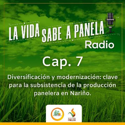 Capítulo 7 - Diversificación y modernización: clave para la subsistencia de la producción panelera en Nariño Capítulo 7 - Diversificación y modernización: clave para la subsistencia de la producción panelera en Nariño