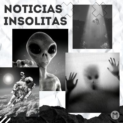 Noticias Insólitas 05-12-2021 Noticias Insólitas 05-12-2021