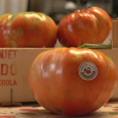 21. El tomàquet Mandó i la recuperació de llavors autòctones