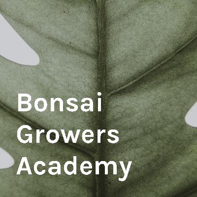 Episode 13: Soil choices and automatic watering Episode 13: Soil choices and automatic watering