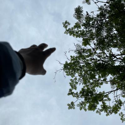 A short late night talk: About gen-z trauma and the feeling of wanting to help everyone