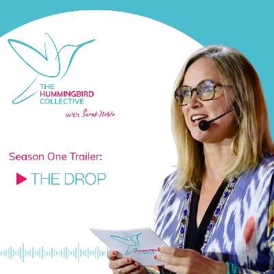 The Drop: The Hummingbird Collective
