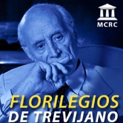 El principio constitucional de la democracia