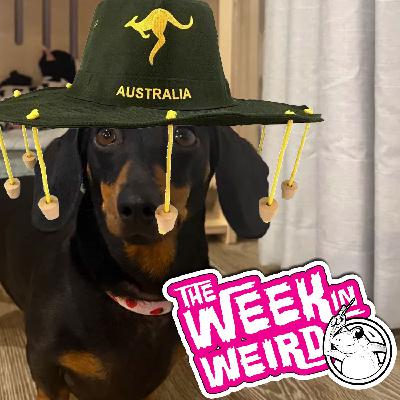 Week in Weird 7-1-25 - NuperSachel Collections Week in Weird 7-1-25 - NuperSachel Collections