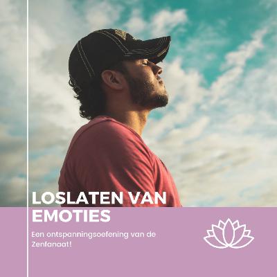 Ontspanning | "Loslaten van emoties" | De Zenfanaat Ontspanning | "Loslaten van emoties" | De Zenfanaat