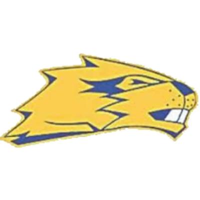 Wilton Beaver's Basketball
