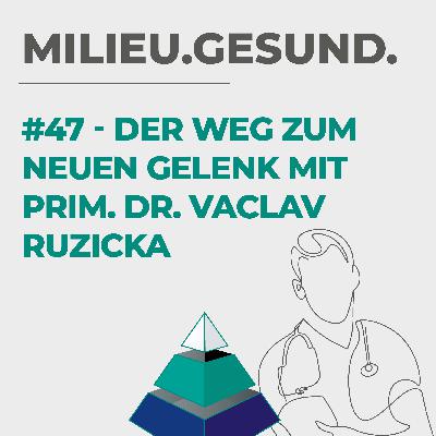 #47 - Der Weg zum neuen Gelenk: Was Sie wissen müssen, bevor Sie sich entscheiden mit Prim. Dr. Vaclav Ruzicka #47 - Der Weg zum neuen Gelenk: Was Sie wissen müssen, bevor Sie sich entscheiden mit Prim. Dr. Vaclav Ruzicka