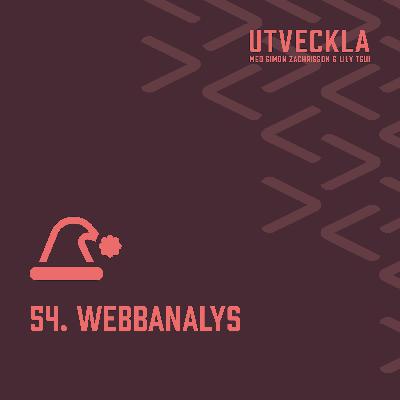 54. Adventskalender - alla våra X! | Lucka 4, webbanalys | Kajsa Skytt och Maria Karlsson, Consid