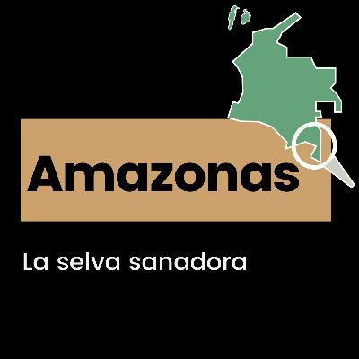 T1 E2 - La selva sanadora
