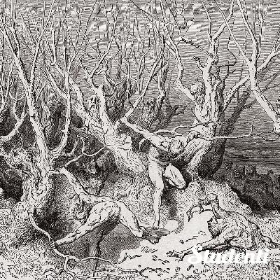 Letteratura - Dante Alighieri, Divina Commedia. Il Canto XIII dell'Inferno