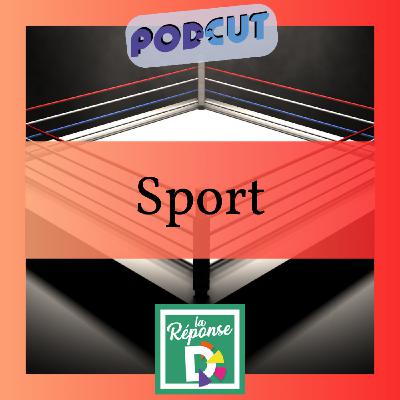 Sport - Qu'est-ce que le chess boxing ? Sport - Qu'est-ce que le chess boxing ?