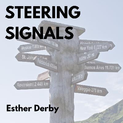 Steering Signals