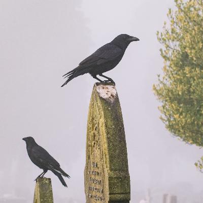 With Eternal Life, Do Things Still Matter?