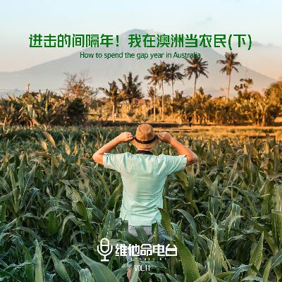 Vol.11 进击的间隔年！我在澳洲当农民（下）