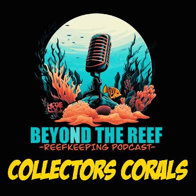 Collectors Corals (Anand Kaimal)