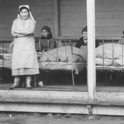 17 Epidemier i Grønland 17 Epidemier i Grønland