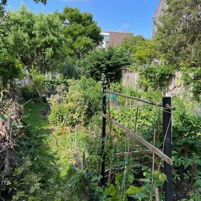 Clubhuis 15: Stadsoase Spinozahof