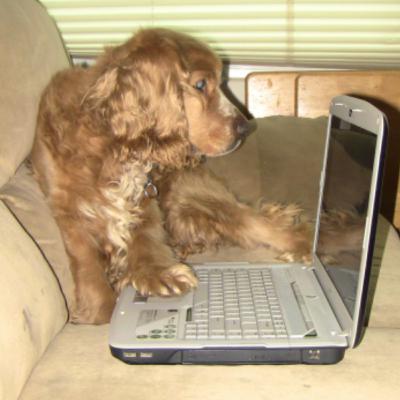 ¿Por que tener presencia en el mundo digital Mas Ideas Para tu negocio y Noticias de México y el Mundo