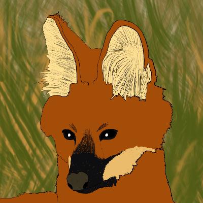 Biólogo Chato: Mamíferos