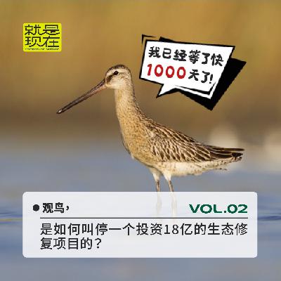 vol.02 观鸟，是如何叫停一个投资18亿的生态修复项目的？