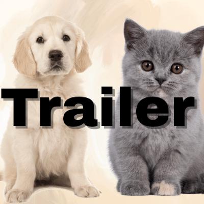 (Trailer)Why do dogs and cats behave differently?