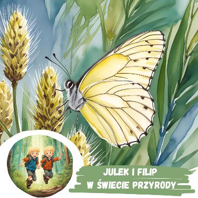 #37 Zagadkowe przedwiośnie