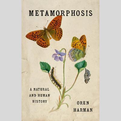 Metamorphosis and the meaning of change Metamorphosis and the meaning of change