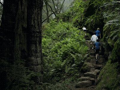 Dipsea Generations Dipsea Generations