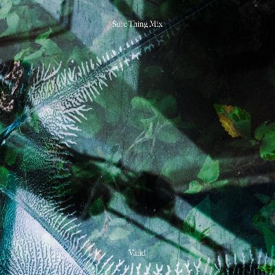 Sure Thing Mix 138: Vand Sure Thing Mix 138: Vand