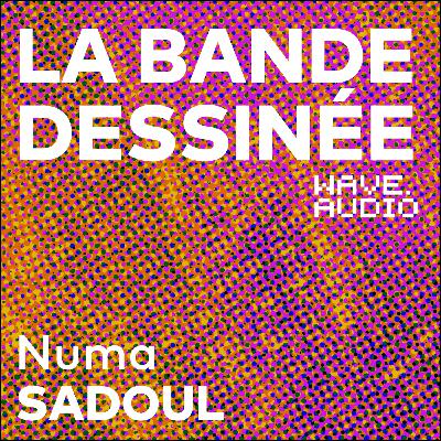 Numa Sadoul : "Un livre d'entretien, c'est une photographie de l'auteur à un instant donné"