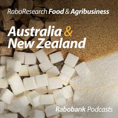 Agri commodity outlook 2026: Sugar Agri commodity outlook 2026: Sugar