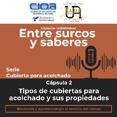 Serie Cubiertas para acolchado: Cápsula 2 - Tipos de cubiertas para acolchado y sus propiedades