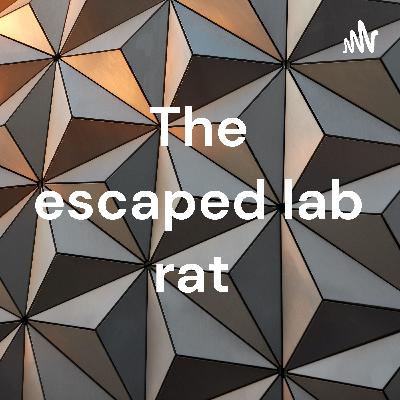 The escaped lab rat