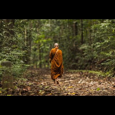 Ep155今年的回顧、明年的展望—從「《我可能錯了》森林智者的最後一堂人生課」一書開始,學會對人生放鬆一點 Ep155今年的回顧、明年的展望—從「《我可能錯了》森林智者的最後一堂人生課」一書開始,學會對人生放鬆一點