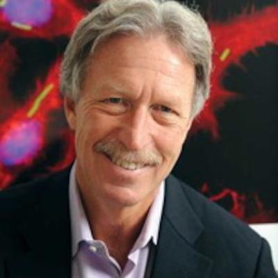 CRS-207: Using a Modified Listeria Virus to Fight Mesothelioma