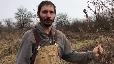 64. Partnering with Powerful Trees - How and Why with Akiva Silver of Twisted Tree Farm 64. Partnering with Powerful Trees - How and Why with Akiva Silver of Twisted Tree Farm