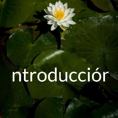 Introducción  (Trailer)