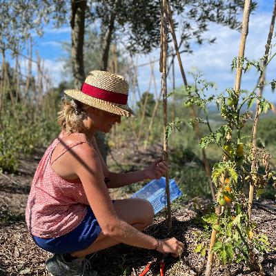 S03E03 - Fan de légumes S03E03 - Fan de légumes