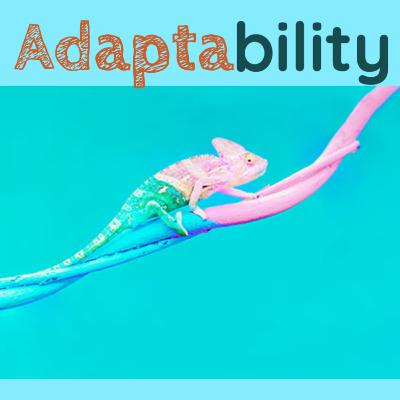 Adaptability : your 'reaction' & 'speed' to CHANGE.