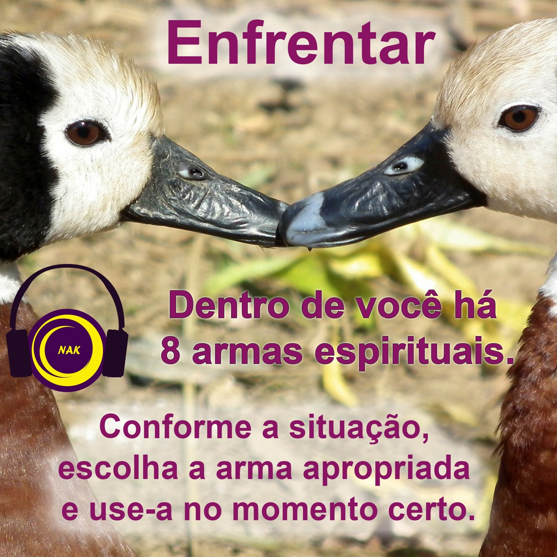 Núcleo AlinKaruman - A Bruxa e o Xamã
