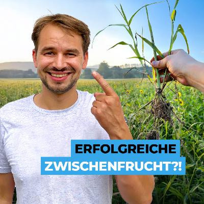 Wie geht eine erfolgreiche Zwischenfrucht?