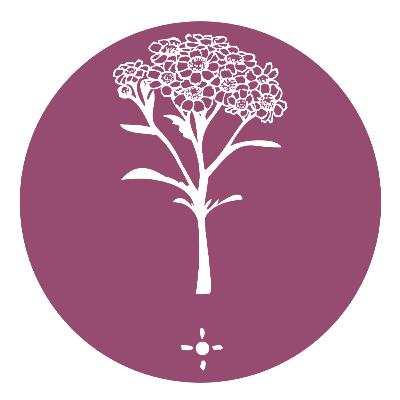 2 Hoe worden wildebloemenzaden geschoond?