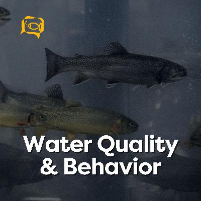 Water Quality & Behavior | Ep. 14