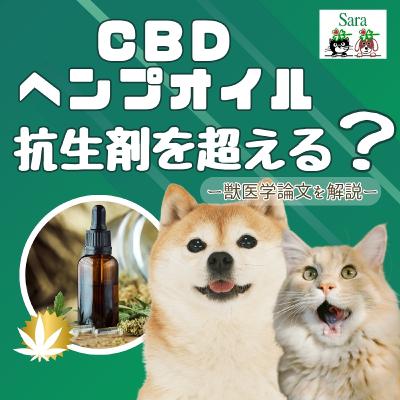 #999. 最新情報：CBD・ヘンプオイルが抗生剤を超える？注意点も