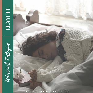 Episode 11: Adrenal Fatigue Episode 11: Adrenal Fatigue