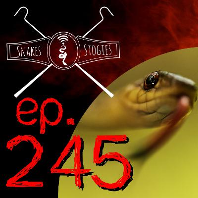 Hangin with Jake | Snakes & Stogies Ep. 245 Hangin with Jake | Snakes & Stogies Ep. 245