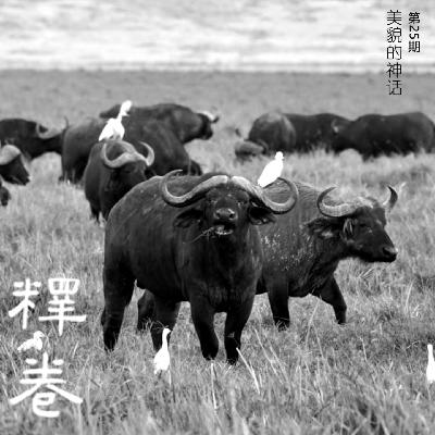 25 | 美貌的神话：快跑！你掉进美役的圈套了！